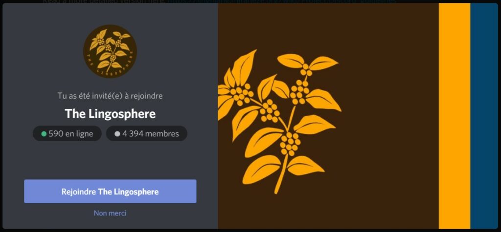 Utilisez Discord en anglais pour rencontrer des communautés de natifs